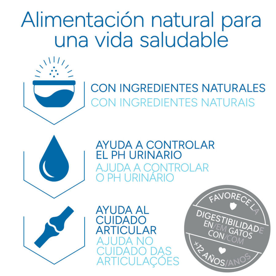 Criadores Científico Senior +12 Pescado pienso para gatos thumbnail