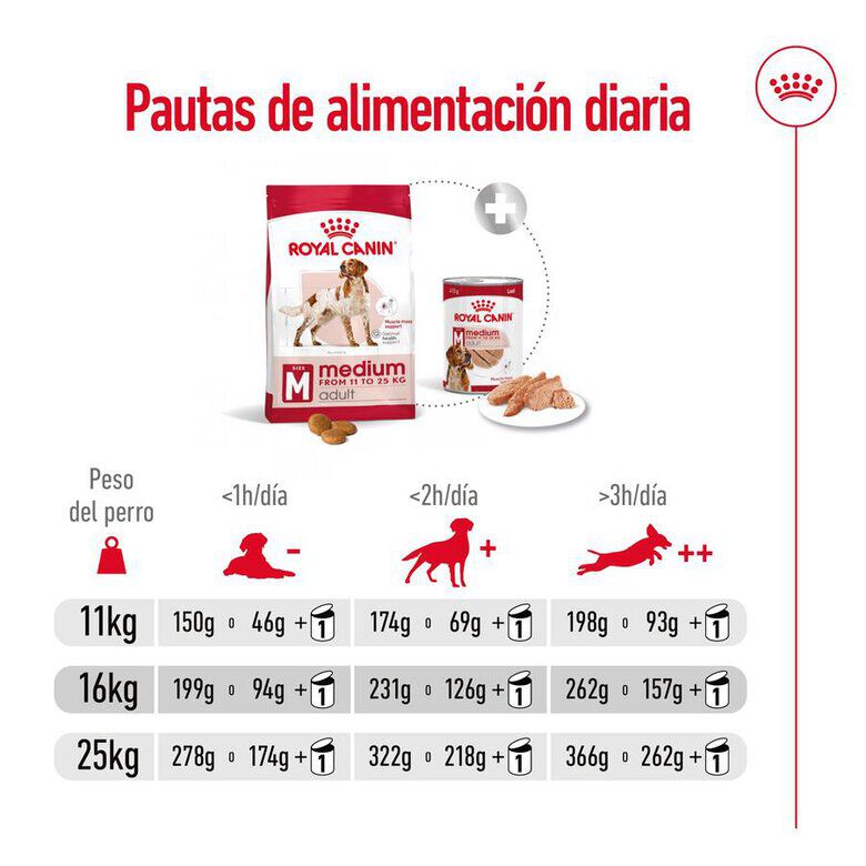 Royal Canin Medium Adult pienso para perros thumbnail
