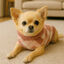 Outech Jersey con Rombos Rosas para perros, , large indicador imagen numero 3