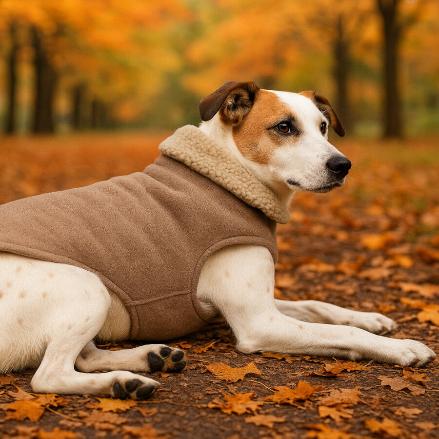 Outech Abrigo Marrón Borreguillo para perros thumbnail