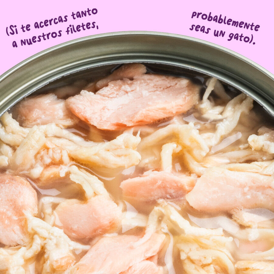 70 g Edgard & Cooper Filetes de Salm&oacute;n y Pollo Lata para gatos, , large Imagen numero 5