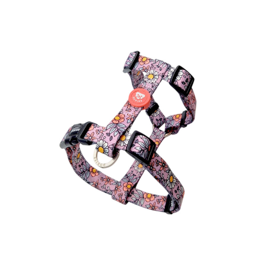 Dukier Flower Power Arn&eacute;s Cl&aacute;sico para perros, , large Imagen numero 1