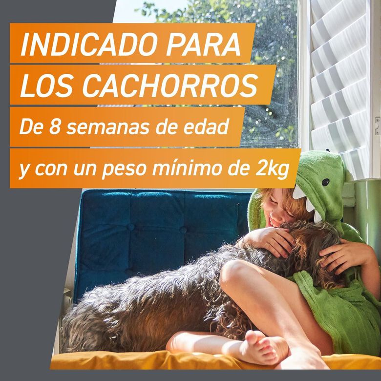 Frontpro Comprimidos Masticables Antiparasitario para perros thumbnail