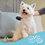 Beaphar Pelo Blanco Champú para perros, , large indicador imagen numero 6