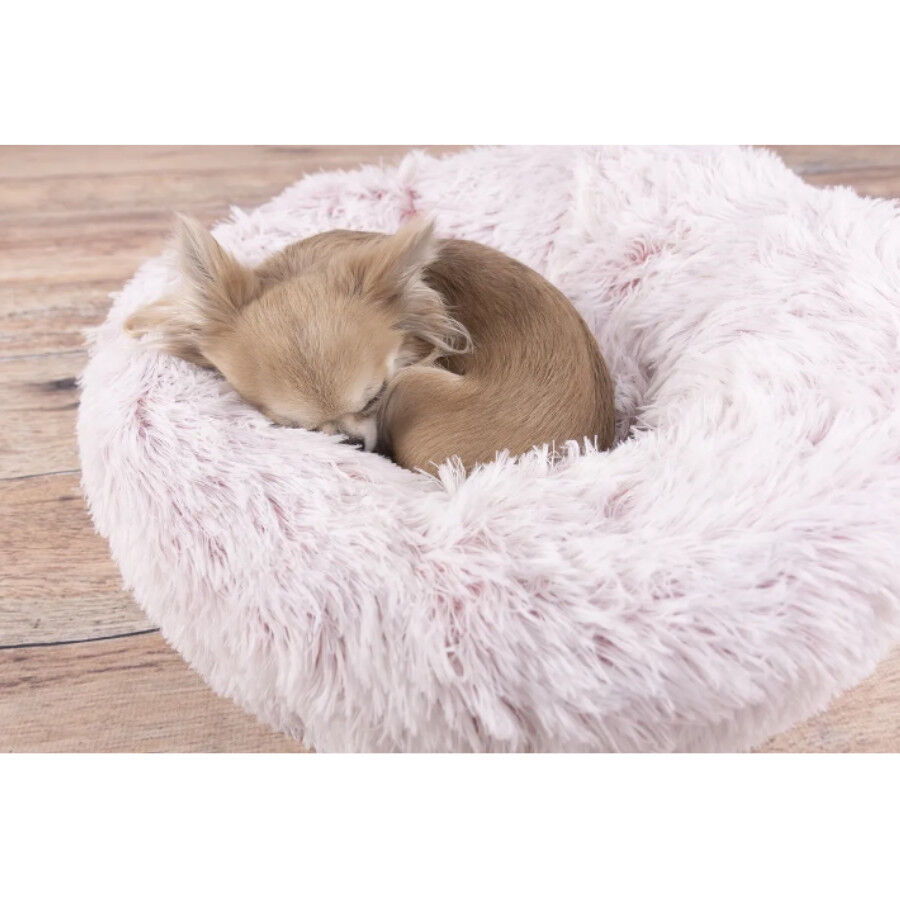 Cama antiestrés perros new arrivals kiwoko