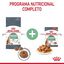 10 kg Royal Canin Adult Digestive pienso para gatos, , large indicador imagen numero 4