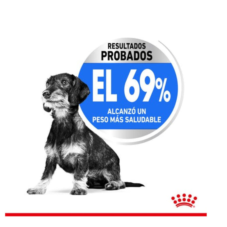 Royal Canin Light Weight Care X-Small pienso para perros, , large image number null