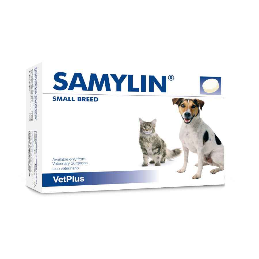 30 comprimidos VetPlus Samylin Complemento Vitam&iacute;nico para perros y gatos, , large Imagen numero 1