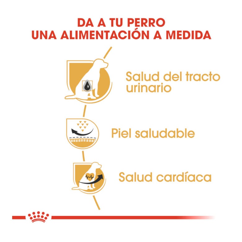 12 kg Royal Canin Adult Dálmata pienso para perros,  Imagen numero 6 12 kg Royal Canin Adult Dálmata pienso para perros, , large Imagen numero 6