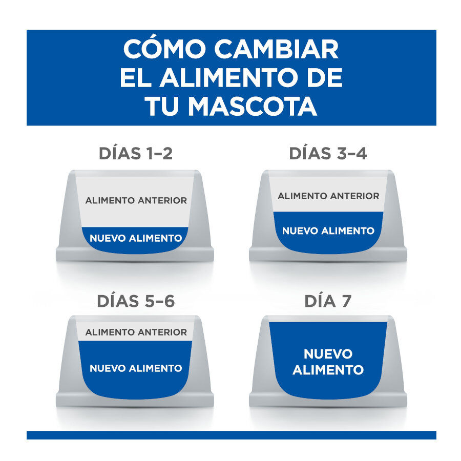12 sobres x 85 g Hill's Science Plan Kitten Pollo y Pescado sobre para gatos , , large Imagen numero 6