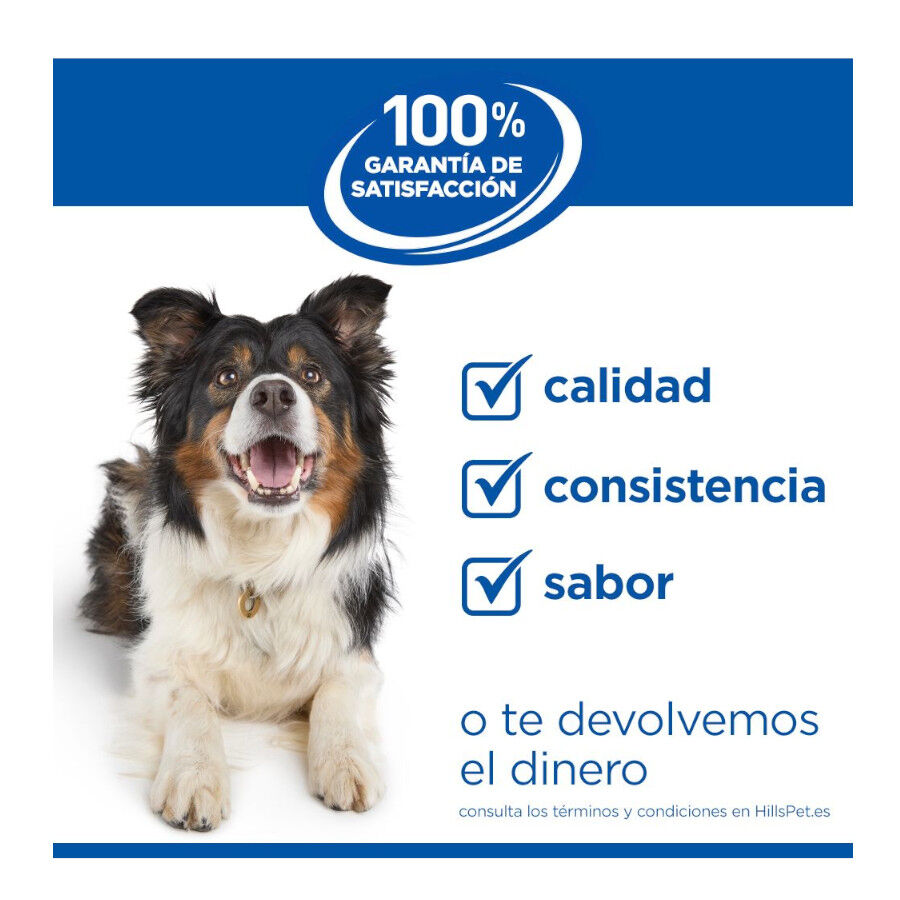 363 g  Hill's Science Plan Adult Estofado con pollo y verduras lata para perros, , large Imagen numero 9