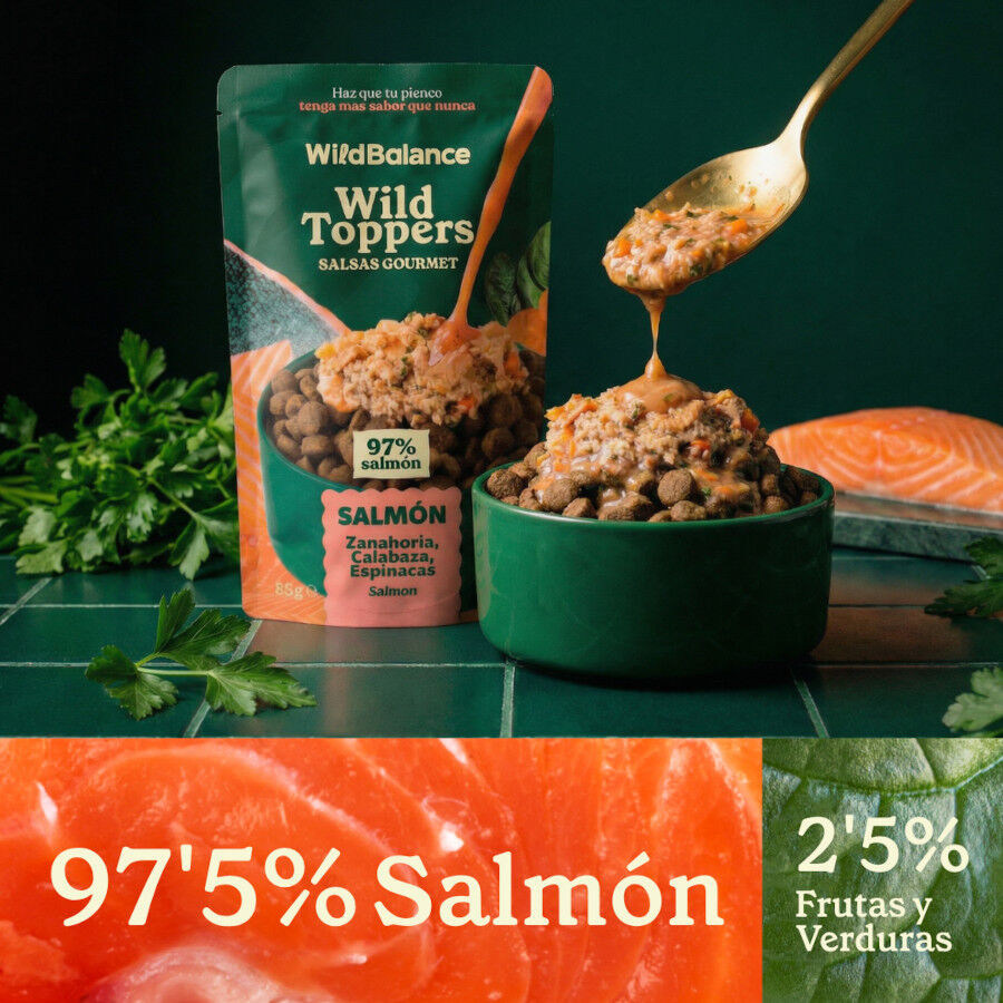 85 g Wild Balance Toppers Salm&oacute;n salsa para perros, , large Imagen numero 3