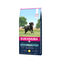 15 kg Eukanuba Adult Large Pollo pienso para perros, , large indicador imagen numero 1