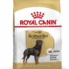Royal Canin Adult Rottweiler pienso para perros, , large image number null
