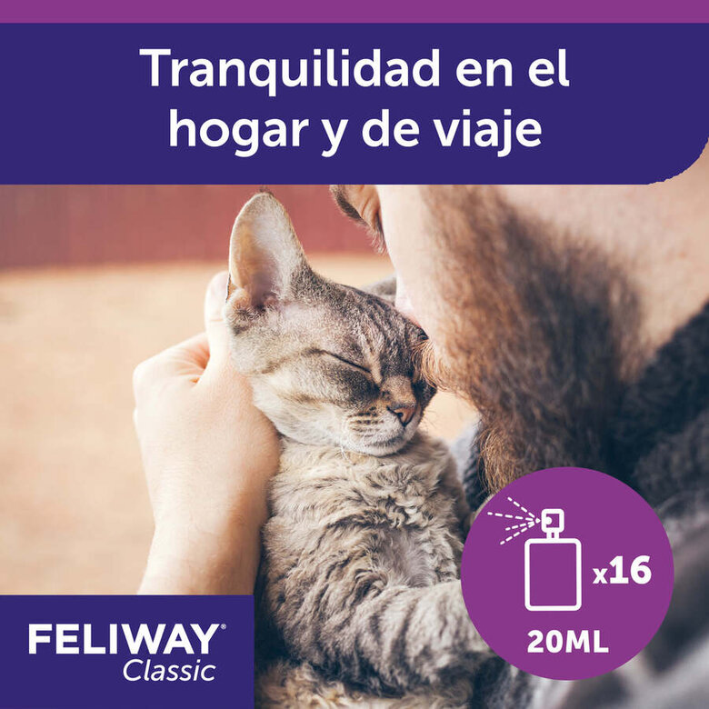 Feliway Spray tranquilizante para gatos,  Imagen numero 6 Feliway Spray tranquilizante para gatos, , large Imagen numero 6