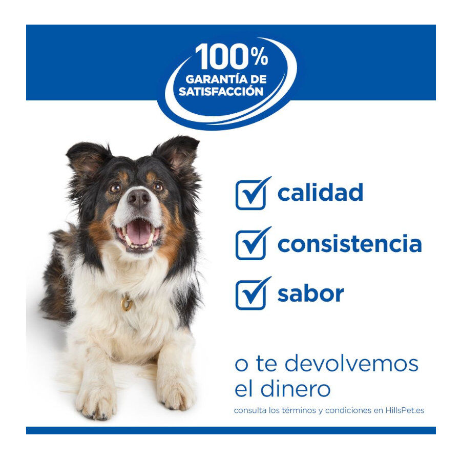 12 kg Hill's Science Plan Perfect Weight Adult Large Pollo pienso para perros, , large Imagen numero 10