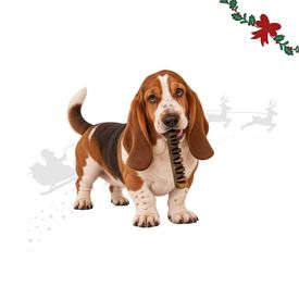 Wonder Christmas Barritas Doglerone Snack para perros