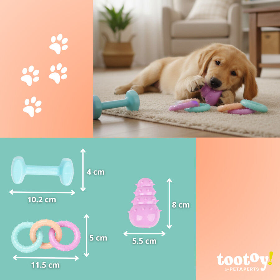 Tootoy! Pack de Mordedores para cachorros, , large Imagen numero 4