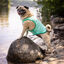 GF Pet ElastoFit Ice Vest Chaleco Refrescante para perros, , large indicador imagen numero 5