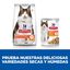 85 g Hill's Science Plan Adult Perfect Digestion Pollo comida húmeda para gatos, , large indicador imagen numero 5