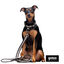 Gotoo Collar de malla transpirable gris para perros, , large indicador imagen numero 5