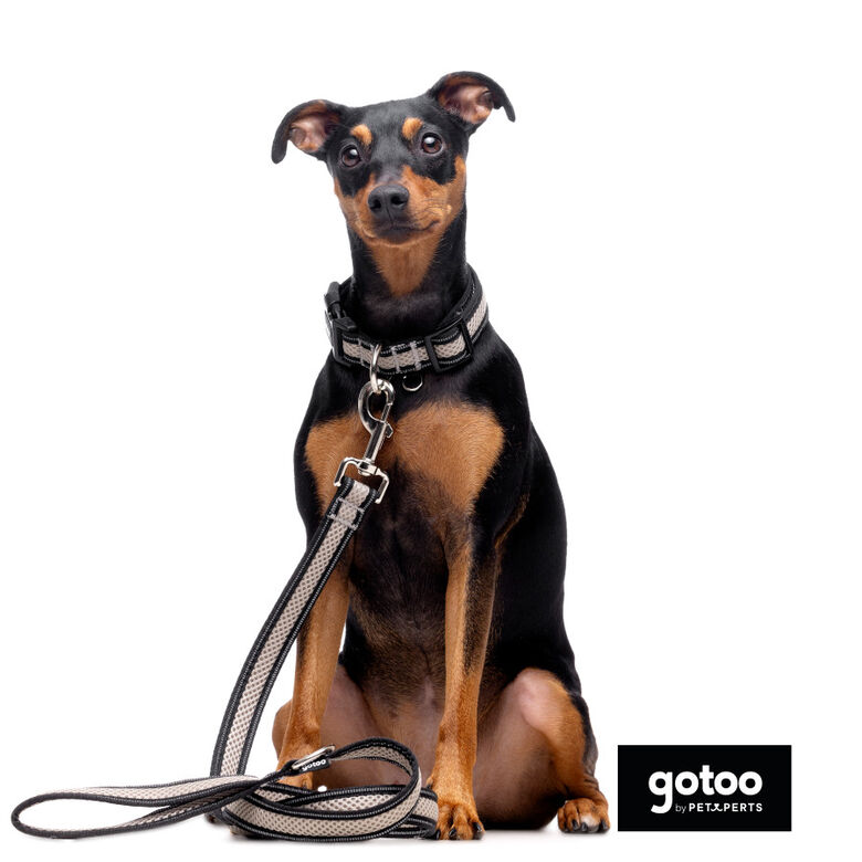 Gotoo Collar de malla transpirable gris para perros thumbnail