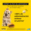 AdTab Comprimidos Masticables Antiparasitarios para perros, , large indicador imagen numero 6