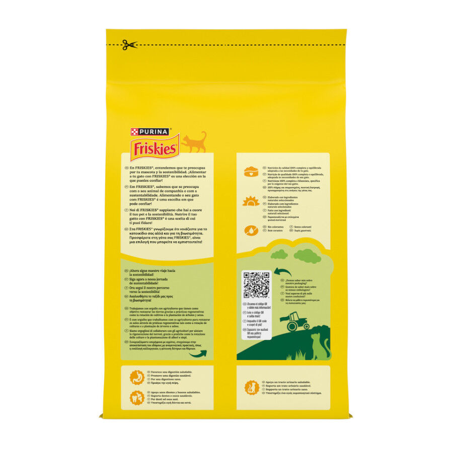 4 kg Friskies Adult Buey con Pollo y Verduras pienso para gatos, , large Imagen numero 6