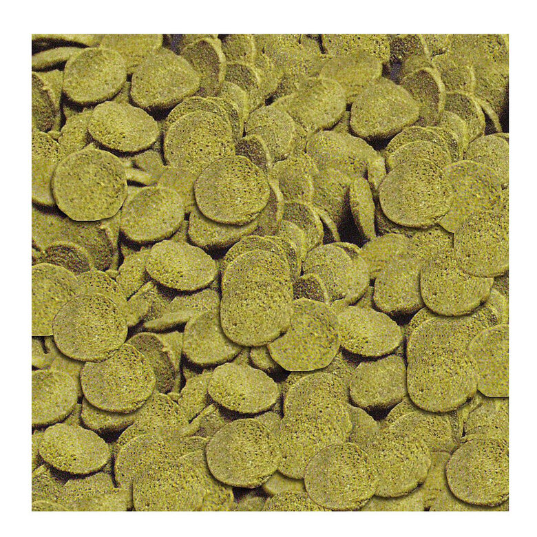 Sera Wels-chips alimento para peces, , large image number null