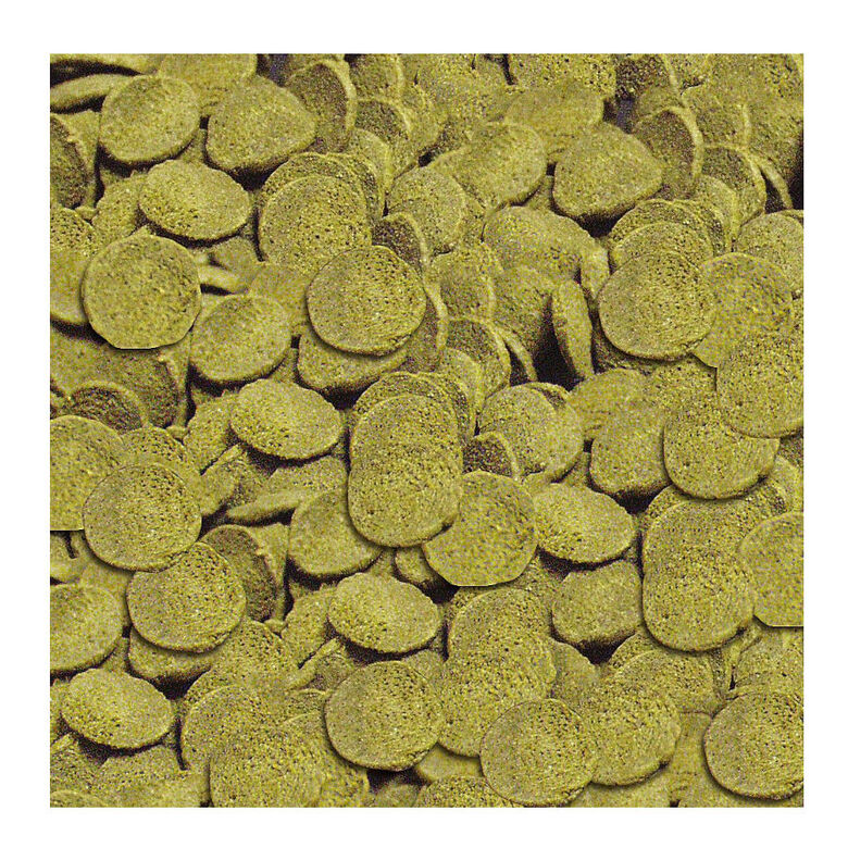 Sera Wels-chips alimento para peces thumbnail