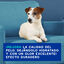 Ceva Douxo Spa Champú Antiolor para perros, , large indicador imagen numero 6