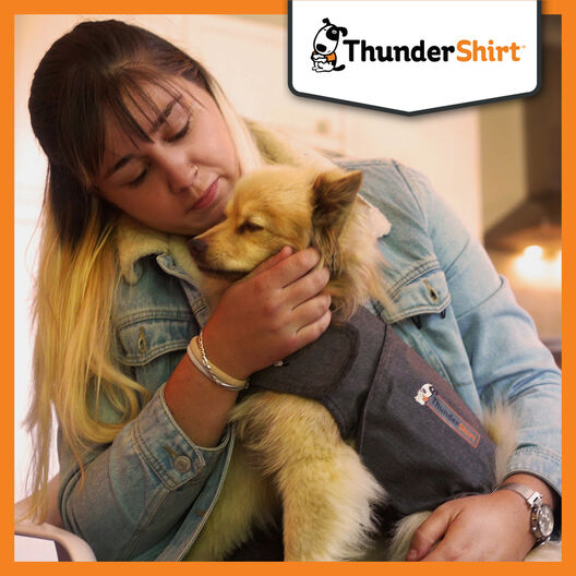 Thundershirt Camiseta Relajante para perros, , large image number null