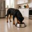Leeby Comedero de Metal con Aro de Silicona para perros, , large indicador imagen numero 1
