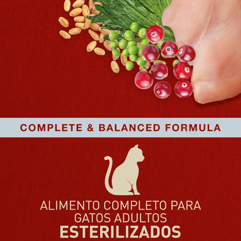 Catxtreme Adult Indoor Sterilised Pollo pienso para gatos thumbnail