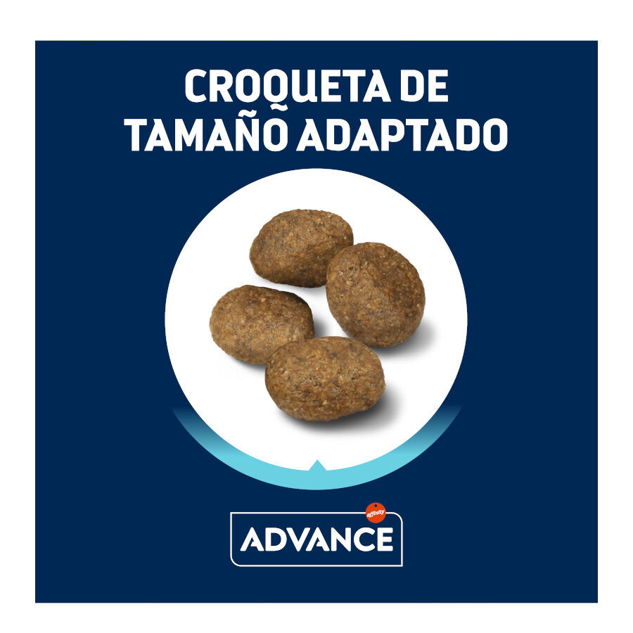 Advance Active Defense Sensitive Cordero y Arroz pienso para perros thumbnail