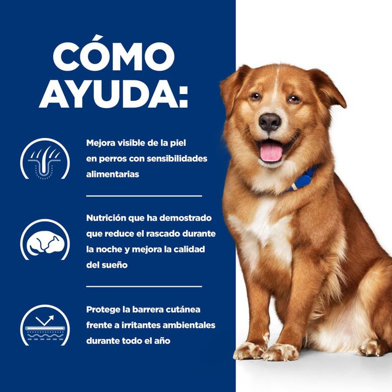 Hill&#039;s Prescription Diet Derm Complete pienso para perros thumbnail