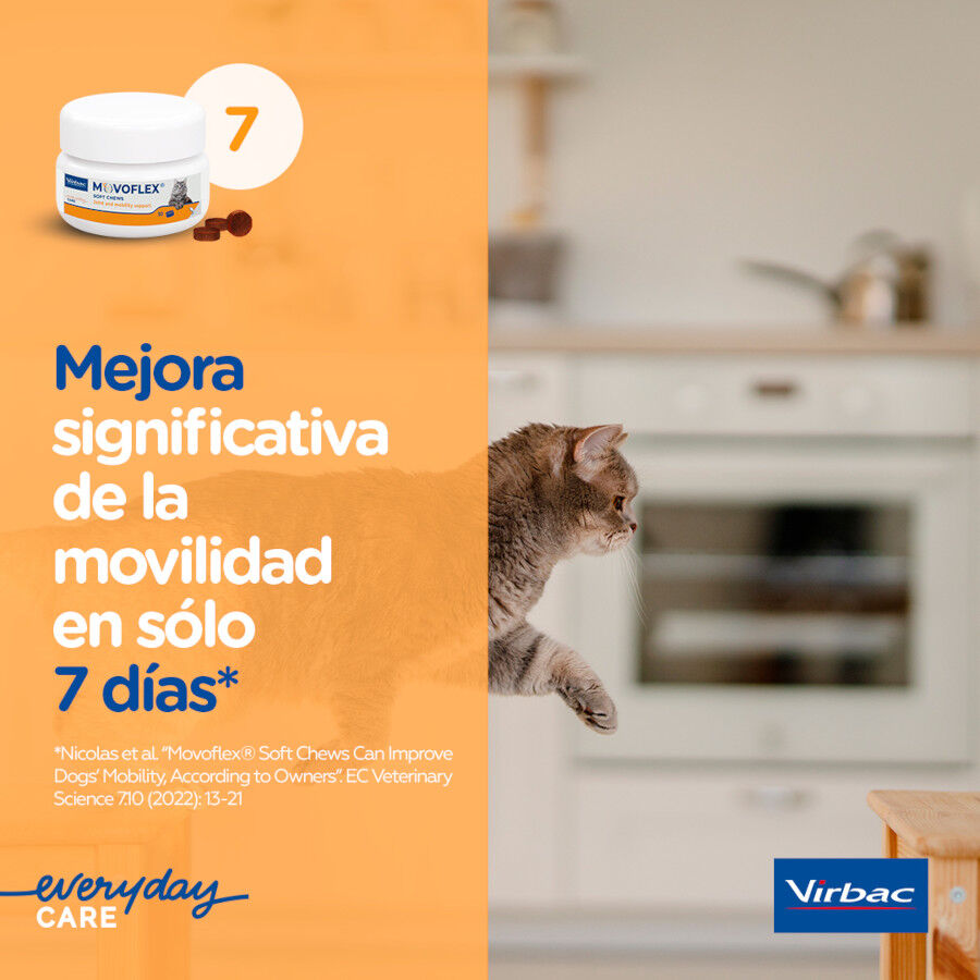 Virbac Movoflex Soft Chews Suplemento para gatos thumbnail