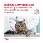 Royal Canin Veterinary Gastrointestinal Fibre Response pienso para gatos, , large image number null