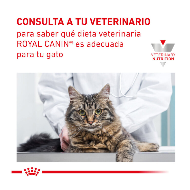4 kg Royal Canin Veterinary Gastrointestinal Fibre Response pienso para gatos,  Imagen numero 9 4 kg Royal Canin Veterinary Gastrointestinal Fibre Response pienso para gatos, , large Imagen numero 9