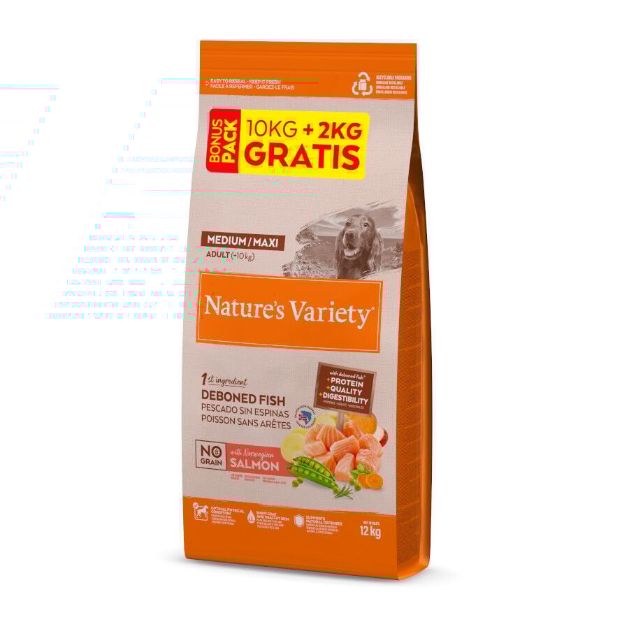 12 kg (10 + 2 kg &iexcl;gratis!) Nature's Variety No Grain Adult Medium Maxi Salm&oacute;n pienso para perros, , large Imagen numero 1