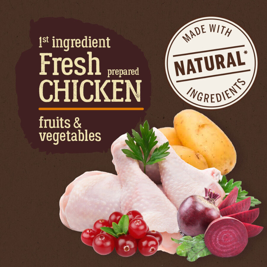 True Origins Pure Adult Sterilised Pollo pienso para gatos thumbnail