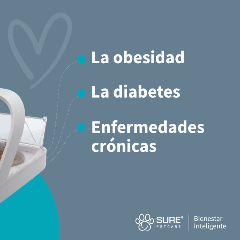 Sure Petcare Surefeed Comedero Automático con Microchip thumbnail