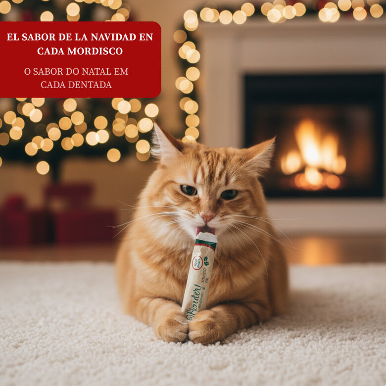 1 sobre Wonder Christmas Snack Líquido Navideño para gatos,  Imagen numero 4 1 sobre Wonder Christmas Snack Líquido Navideño para gatos, , large Imagen numero 4