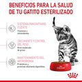 Royal Canin Kitten Sterilised pienso para gatos , , large image number null