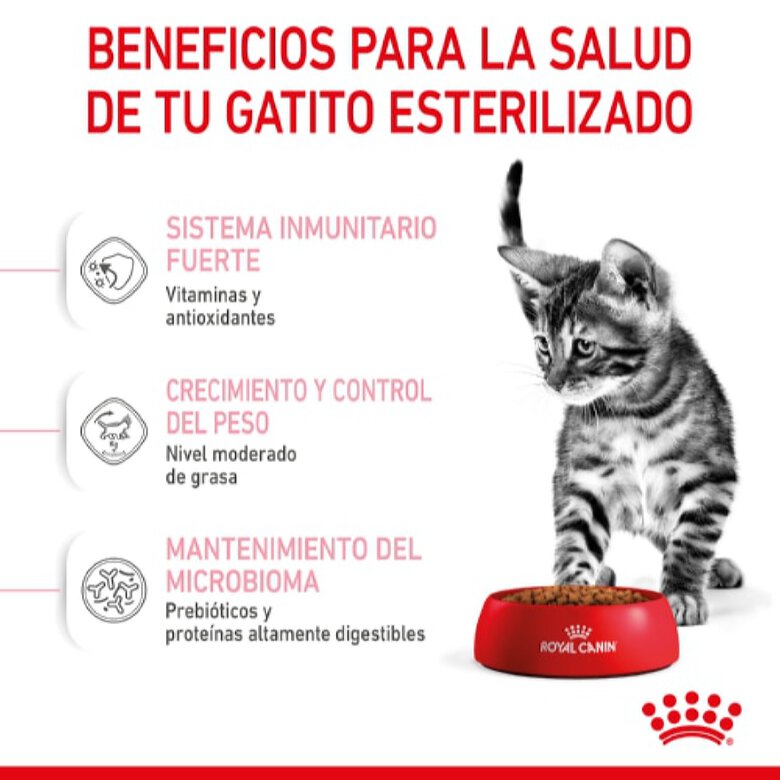 Royal Canin Kitten Sterilised pienso para gatos, , large image number null