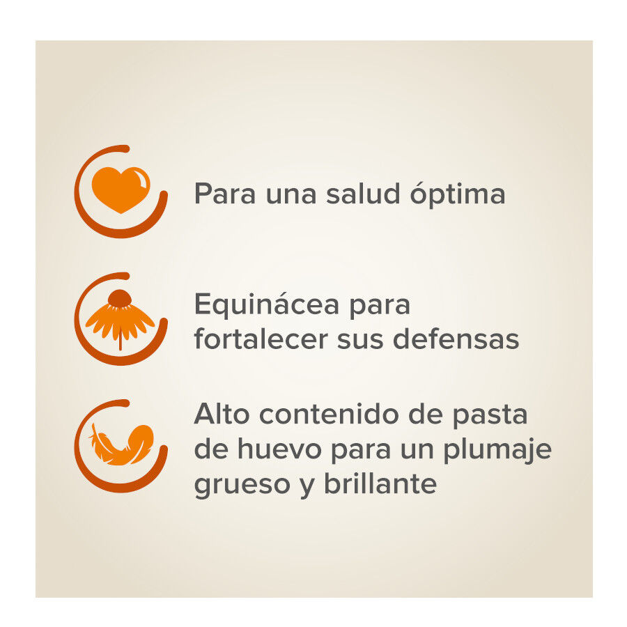 Beaphar XtraVital comida para periquitos thumbnail