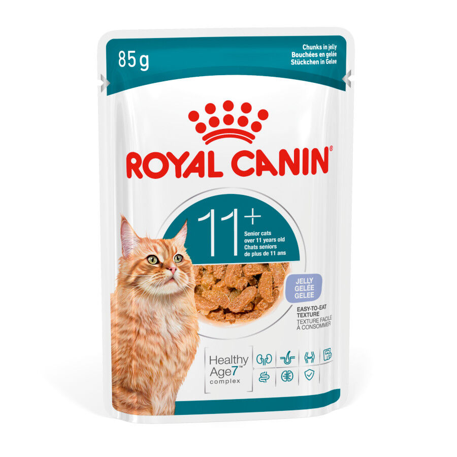 Royal Canin Ageing +11 Comida Húmeda en Gelatina para gatos senior