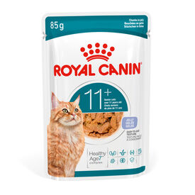 Royal Canin Ageing +11 Comida Húmeda en Gelatina para gatos senior