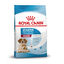 15 kg Royal Canin Medium Starter Mother&Baby pienso para perros, , large indicador imagen numero 1