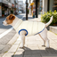 Goto Abrigo Reversible Acolchado para perros, , large indicador imagen numero 1